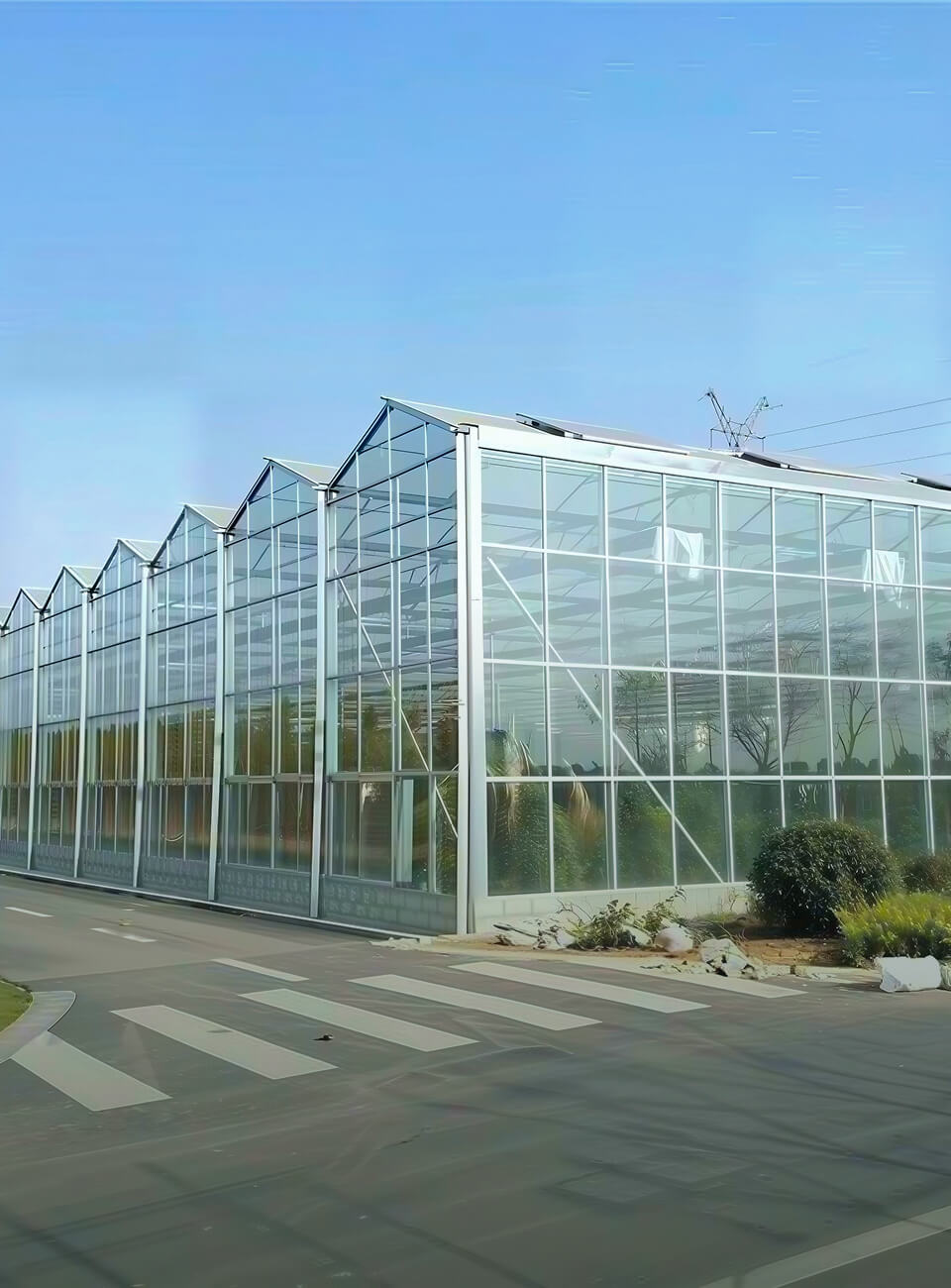 Glass Greenhouse